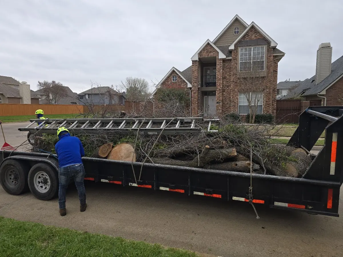 Expert Tree Pest Control with proper safety equipment in Coopers Mills